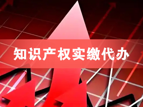 武夷山知识产权实缴资本代办